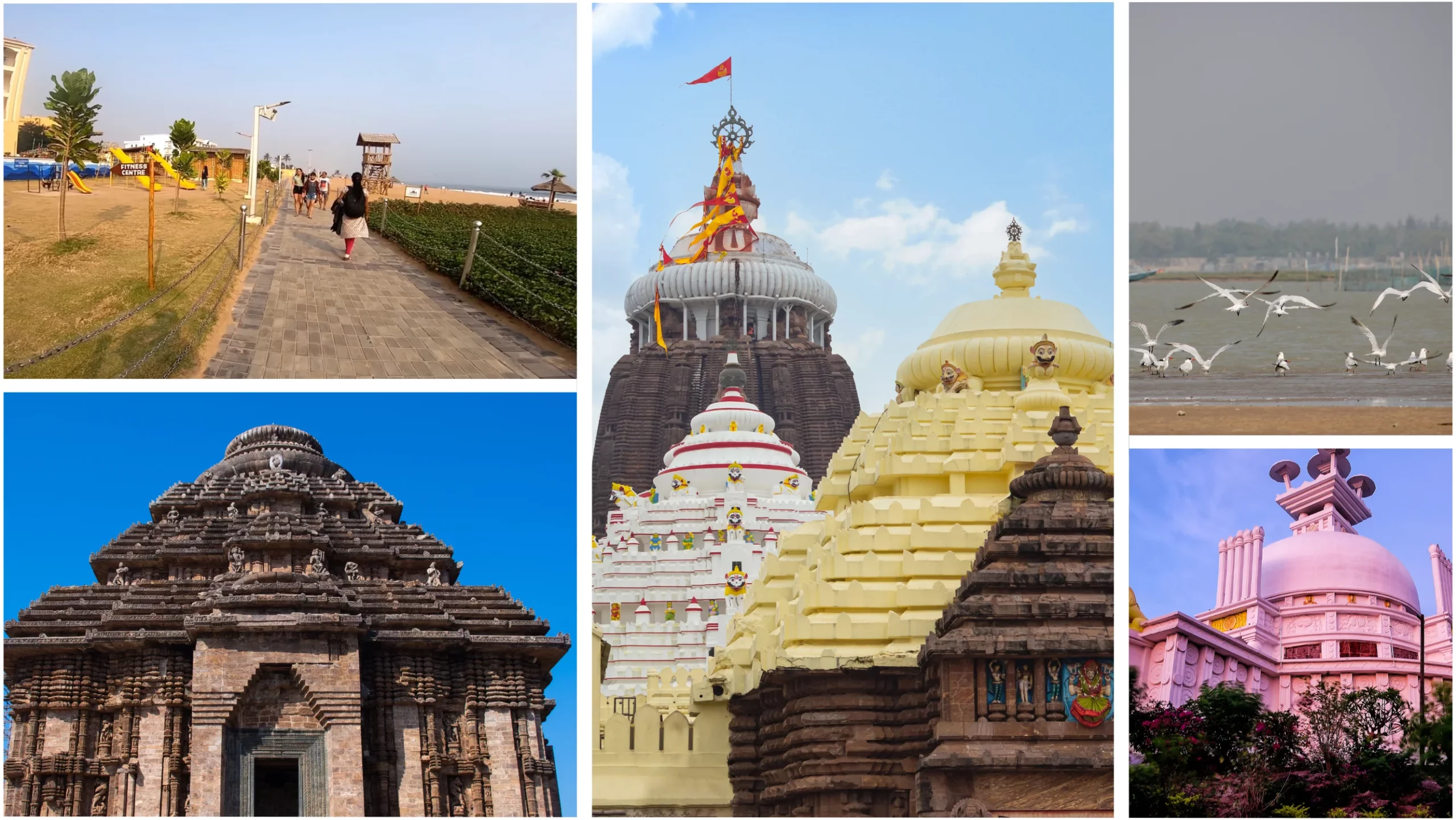 Top 10 Tour Places in Odisha Book with Mypuritour!