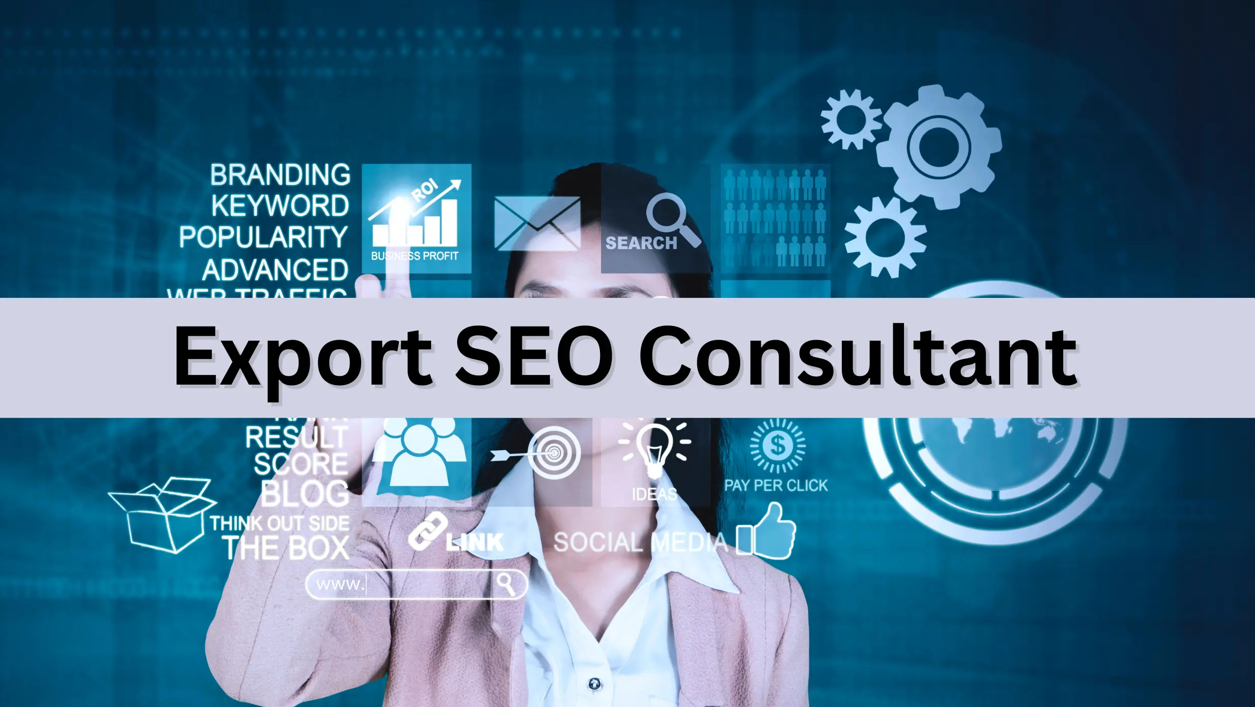Are you looking for an experienced export SEO consultant?