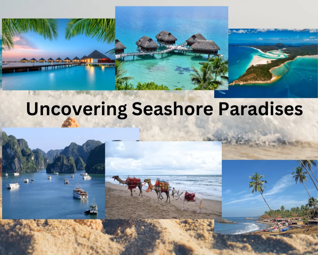 Uncovering Seashore Paradises