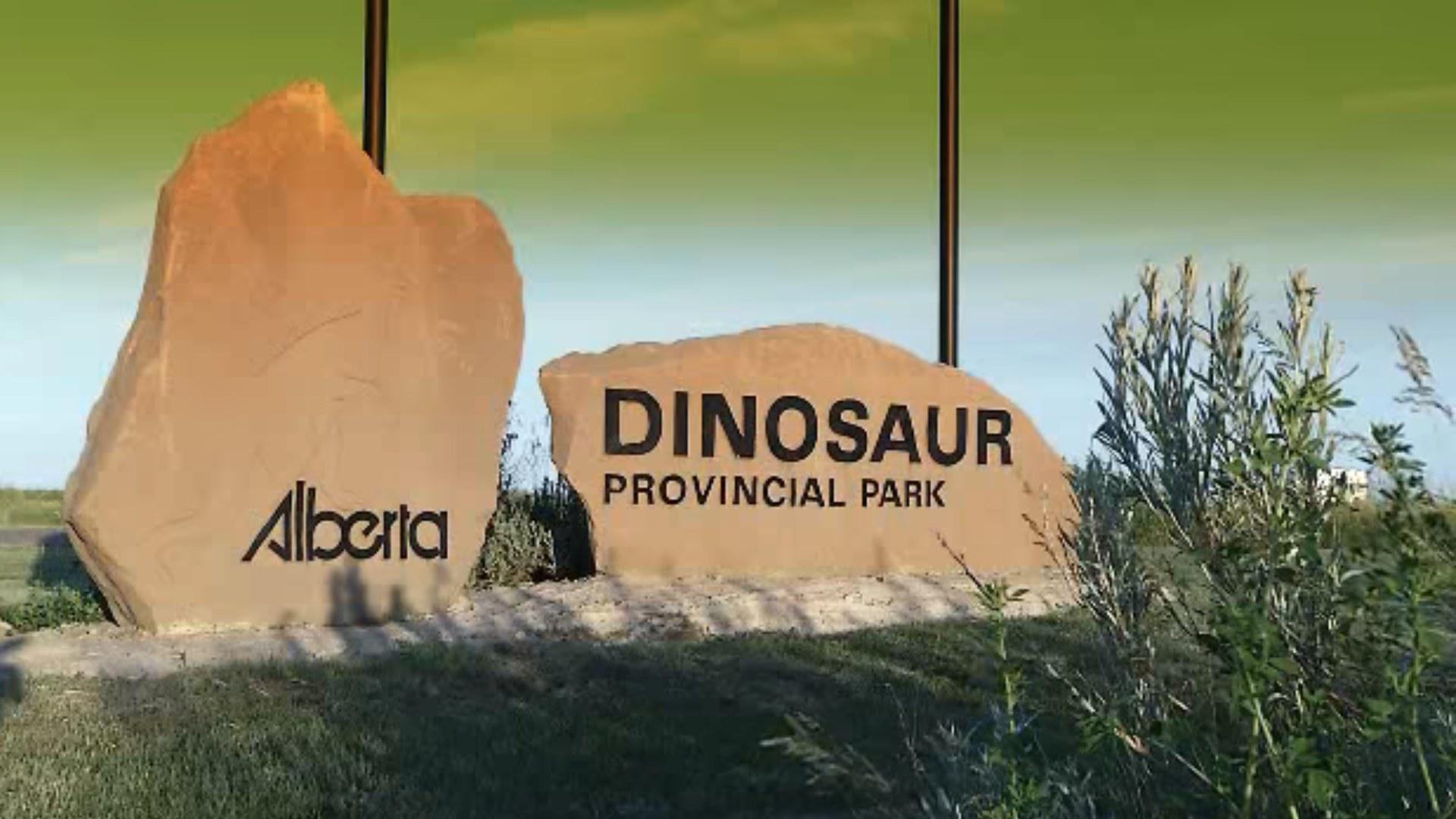 Camping in Dinosaur Provincial Park, Alberta: A Journey into Prehistoric Landscapes