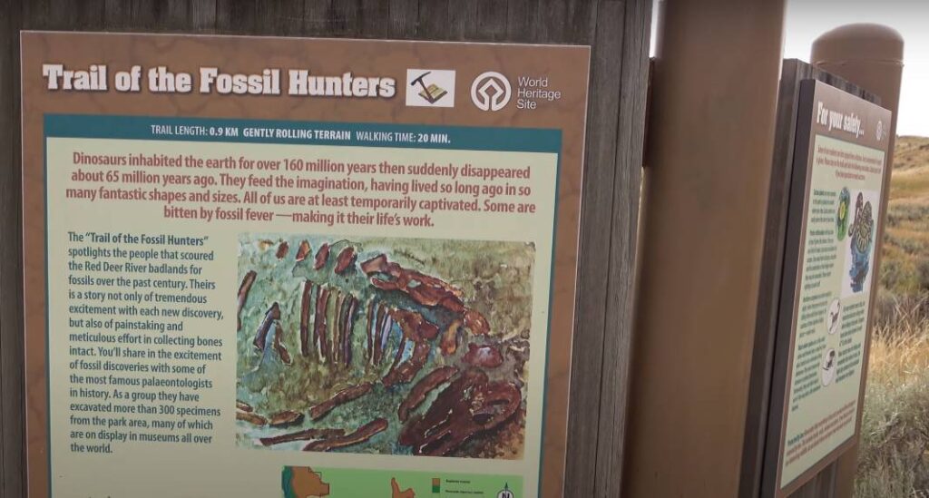 Fossil Hunter's Trail in Dinosaur Provincial Park