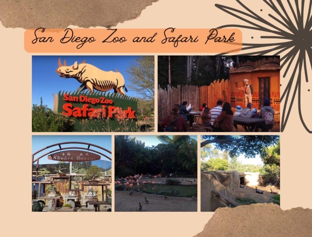 San Diego Zoo and Safari Park- Rosct