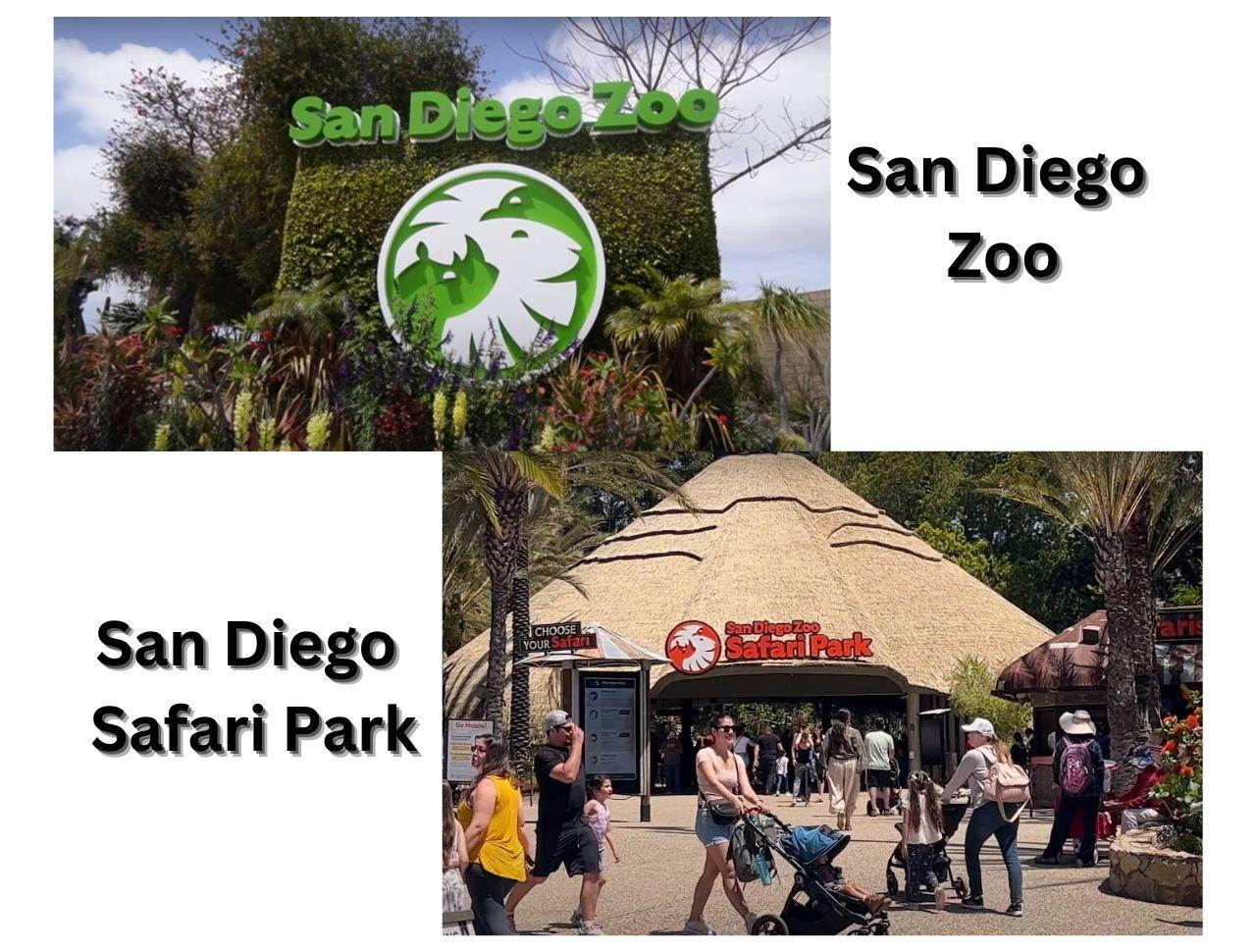 San Diego Zoo and Safari Park, California: Hours, Prices, and Animals