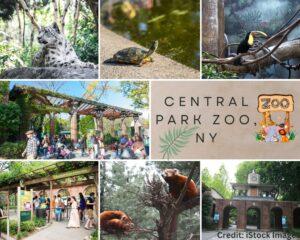Central Park Zoo, NY