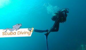 Scuba Diving in the World