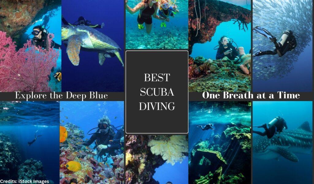 Scuba Diving in the World- Rosct