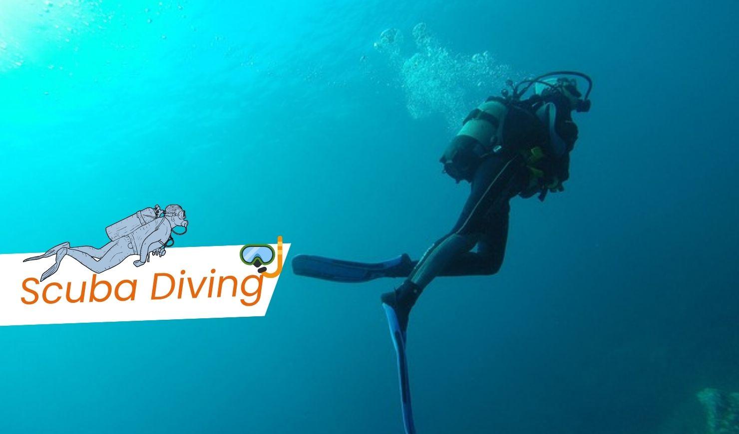 Top 10 Best Scuba Diving in the World: Location, When to Go, Precautions